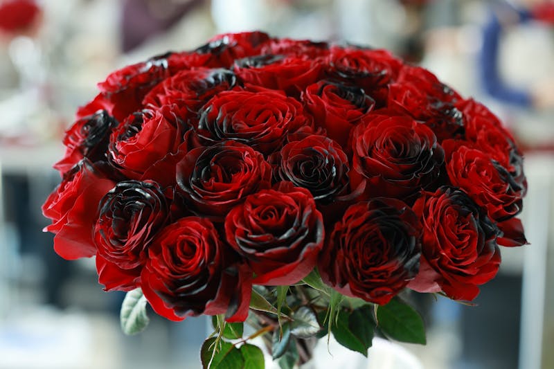 Bouquet de mariée romantique roses blanches interflora